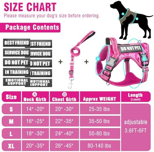 Tactical Dog Harness and Leash Set - Image 5