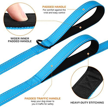 Joytale Dog Leash for Large Dogs that Pull, Double Handle, Aqua Blue - Image 2
