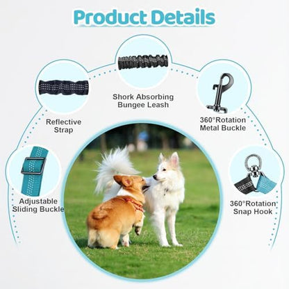 Double Dog Leash - Image 3