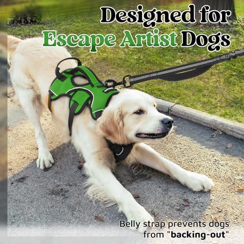 rabbitgoo Escape Proof Dog Harness - Image 3