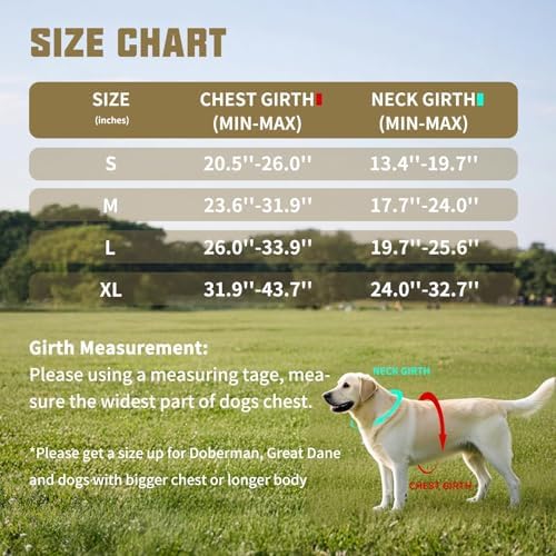 AUROTH Dog Harness and Leash Set - Image 6