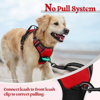 rabbitgoo Dog Harness, No Pull Medium Sized - Image 5