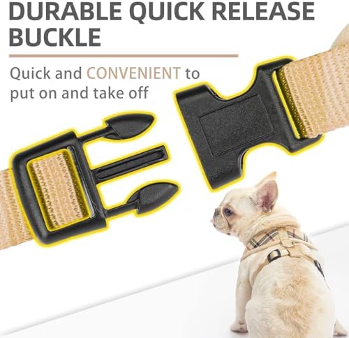 PUPTECK Small Dog Harness and Leash Set No Pull - Image 5