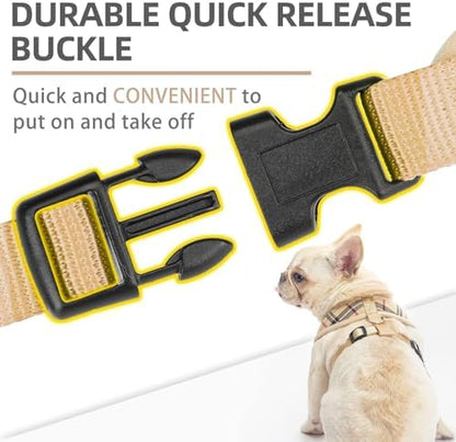 PUPTECK Small Dog Harness and Leash Set No Pull - Image 5