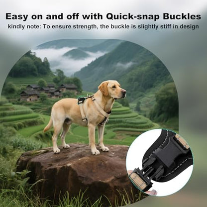 Plutus Pet No Pull Dog Harness - Image 6