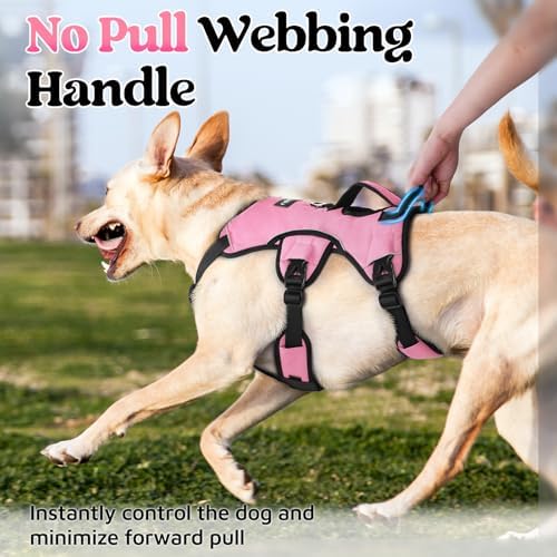 rabbitgoo Escape Proof Dog Harness - Image 4