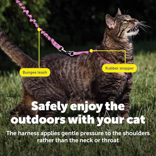 PetSafe Come with Me Kitty Harness and Bungee Cat Leash, Dusty Rose - Image 5
