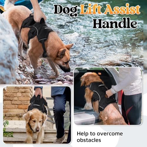 rabbitgoo Escape Proof Dog Harness - Image 4