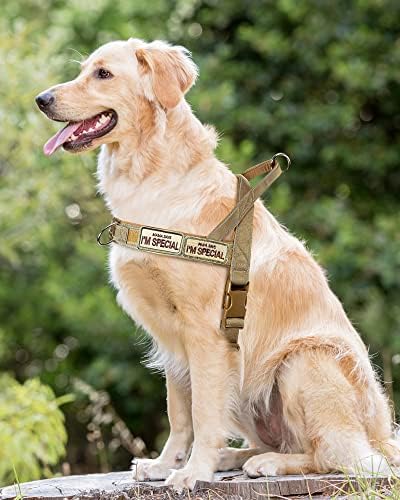 No Pull Dog Harness for Small Medium Large Sized Dogs, Escape Proof Adjustable - Image 5