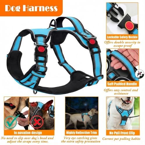 LOBEVE No Pull Dog Harness, Collar & Leash Set - Image 4