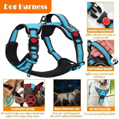 LOBEVE No Pull Dog Harness, Collar & Leash Set - Image 4