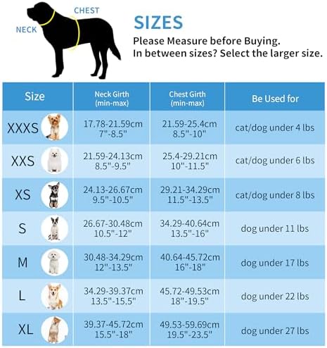 AIITLE Small Dog Harness and Leash Set, Step-in Puppy Pet Vest - Image 6