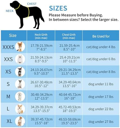 AIITLE Small Dog Harness and Leash Set, Step-in Puppy Pet Vest - Image 6