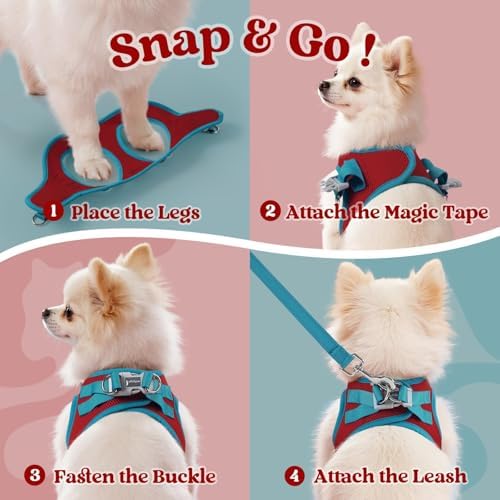rabbitgoo Dog Harness Small Sized and Leash Set, Step in Soft Vest - Image 2