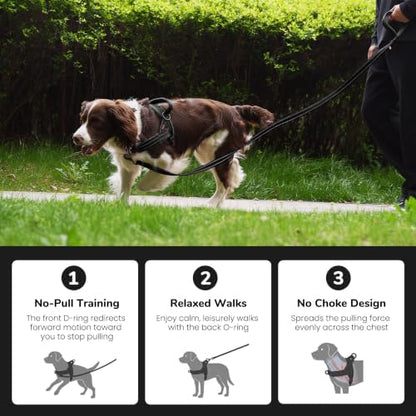 Didog No Pull Dog Harness for Large Dogs, Soft Flannel Padded - Image 4