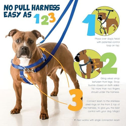 2 Hounds Design Freedom No Pull Dog Harness and Leash, 5/8" XS - Image 3
