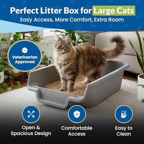 KittyGoHere Senior Cat Litter Box, Low Entry Litter Pan, Jumbo 2 Pack - Image 2
