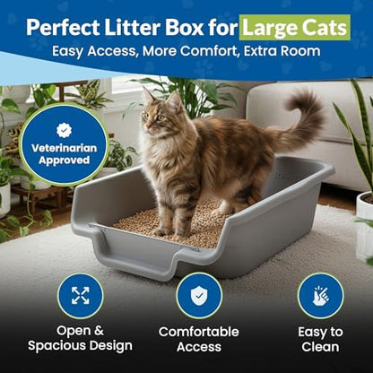 KittyGoHere Senior Cat Litter Box, Low Entry Litter Pan, Jumbo 2 Pack - Image 2