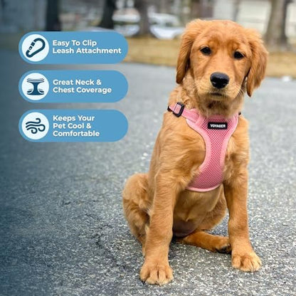 Best Pet Supplies Voyager Adjustable Step-in Flex Breathable Mesh Dog Harness - Image 5