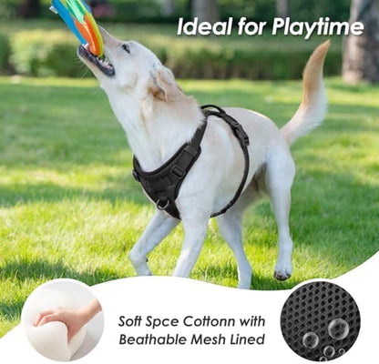 Sunraymascota No Pull Dog Harness - Image 6