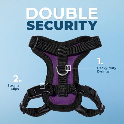 Voyager Step-in Lock Cat Harness & Leash Set - Image 2