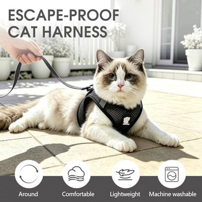 Heywean Cat Harness and Leash Escape Proof, Soft Breathable Mesh Kitty Walking - Image 5