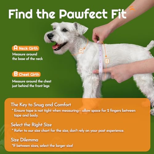 Eagloo Small Dog Harness and Leash Set, Step in Small Sized Puppy Pet Vest - Image 2