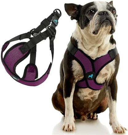 Gooby Comfort X Step-in Lite Harness, Choke-Free - Image 3