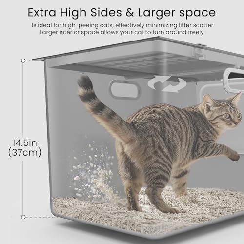 Stainless Steel Litter Box - Image 5