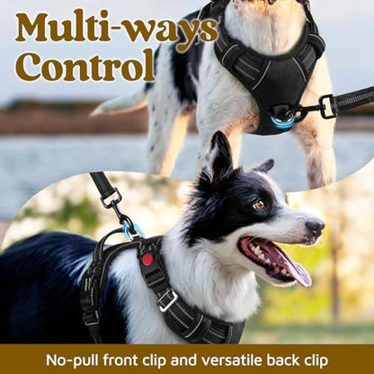 rabbitgoo Dog Harness Small Sized, No Pull 3 Buckles Easy On & Off - Image 3