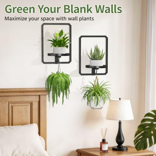 LASZOLA Plant Picture Frame Holder Shelf Wall Window Indoor - Image 3