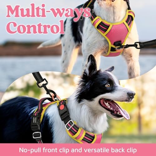 rabbitgoo Dog Harness Medium Sized, No Pull 3 Buckles Easy On & Off - Image 3