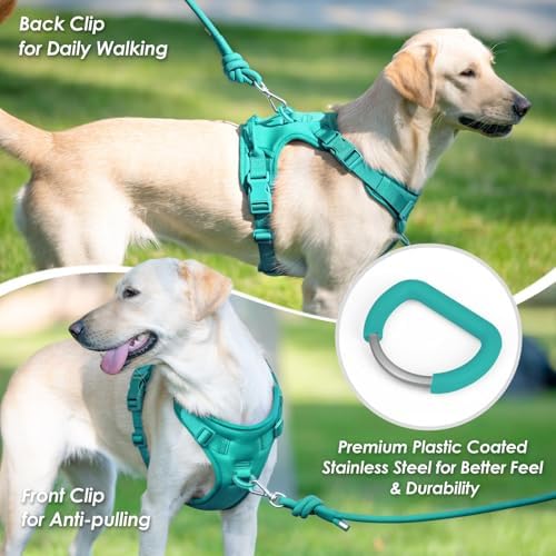 Sunraymascota No Pull Dog Harness - Image 5