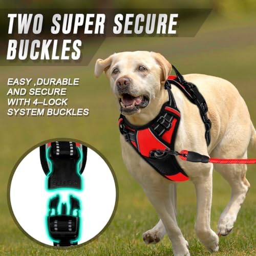BARKBAY Dog Harness No Pull for Medium Sized Dog Front Back Clips, Dog Vest - Image 4