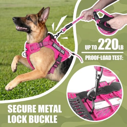 Dog Harness and Leash Set for Medium Dogs, No Pull Tactical Dog Harness - Image 4