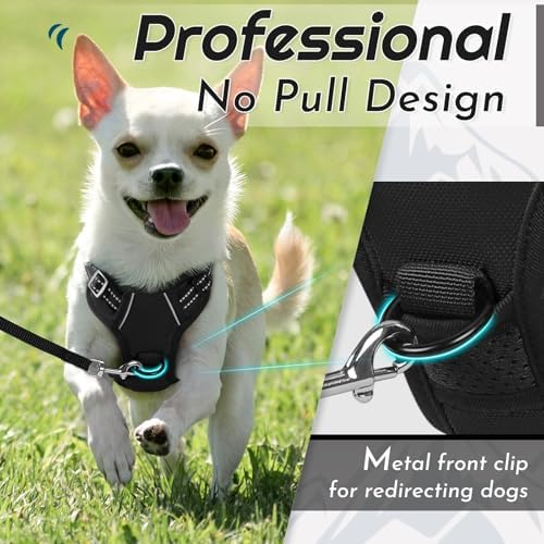 Eagloo Dog Harness for Small Dogs, No Pull Pet Vest - Image 3