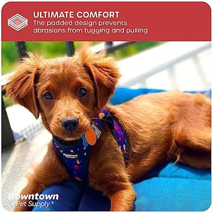 Downtown Pet Supply Step-in Dog Harness – No Pull, Adjustable Padded Mesh - Image 6