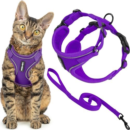 Voyager Escape-Proof Step-in Cat Harness & Leash by BestPetSuppliesLLC