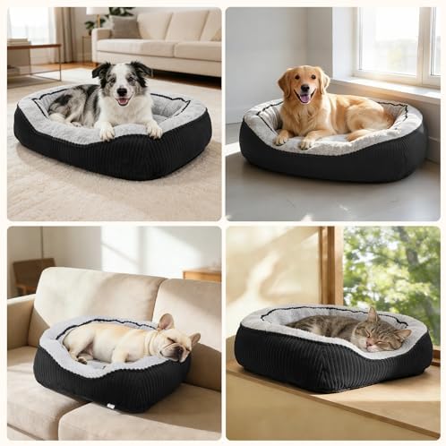 Washable Dog Bed Medium Size Dogs, Orthopedic Pet Bed - Image 7