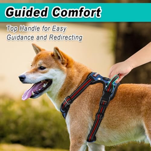 BARKBAY Dog Harness for Small Sized Dog No Pull 2 Leash Clips Dog Vest - Image 4
