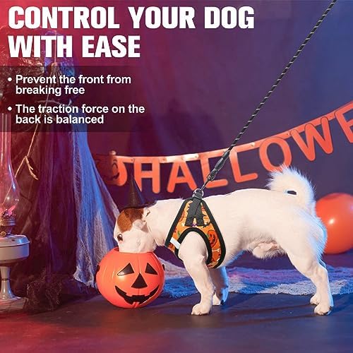 BEAUTYZOO Halloween Dog Harness Medium Sized and Leash Set, No Pull Pet Vest - Image 4