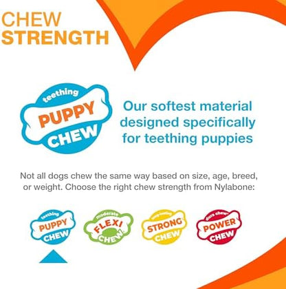 Nylabone Puppy Chew Blue Textured Teething Dog Bone - Image 5