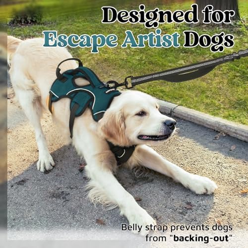 rabbitgoo Escape Proof Dog Harness - Image 2