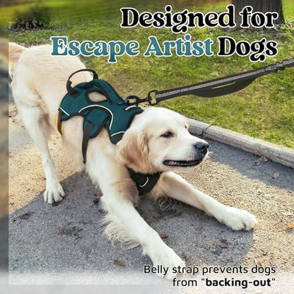 rabbitgoo Escape Proof Dog Harness - Image 3