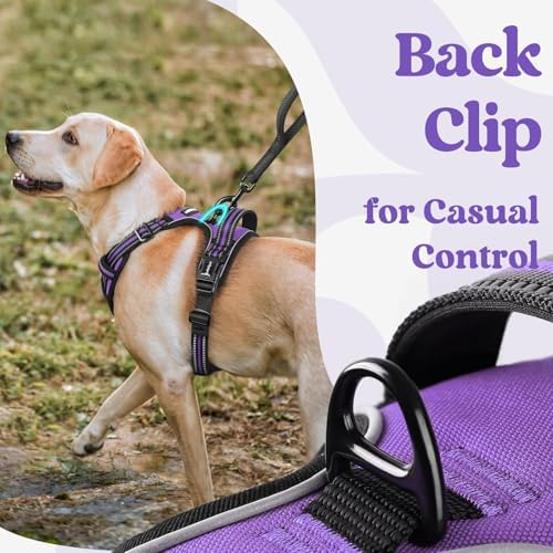 rabbitgoo Dog Harness for Large, Updated Easy On & Off - Image 5