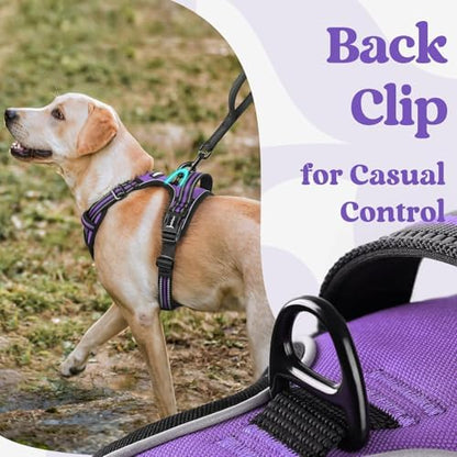 rabbitgoo Dog Harness Small Sized, Updated Easy On & Off - Image 6