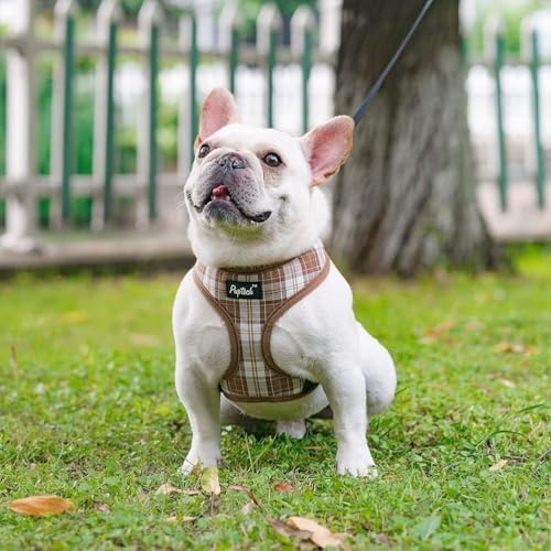 PUPTECK Small Dog Harness and Leash Set No Pull - Image 6