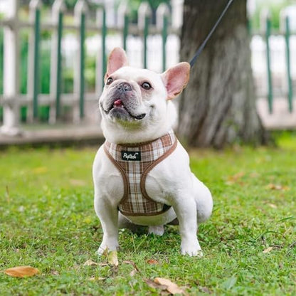 PUPTECK Small Dog Harness and Leash Set No Pull - Image 6