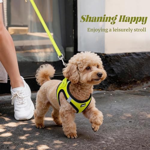No Pull Dog Puppy Harness and Leash Set Reflective Mesh Vest XX-Small - Image 6