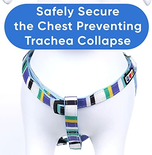 Pawtitas Multicolor Step-in Dog Harness – Adjustable No-Pull Vest - Image 4